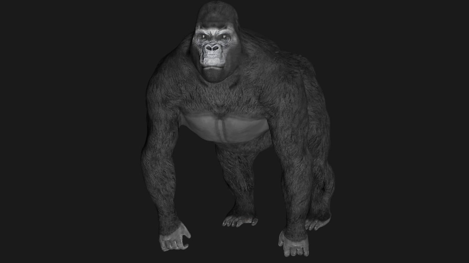 Ape D Model Rigged And Low Poly Game Ready Team D Yard