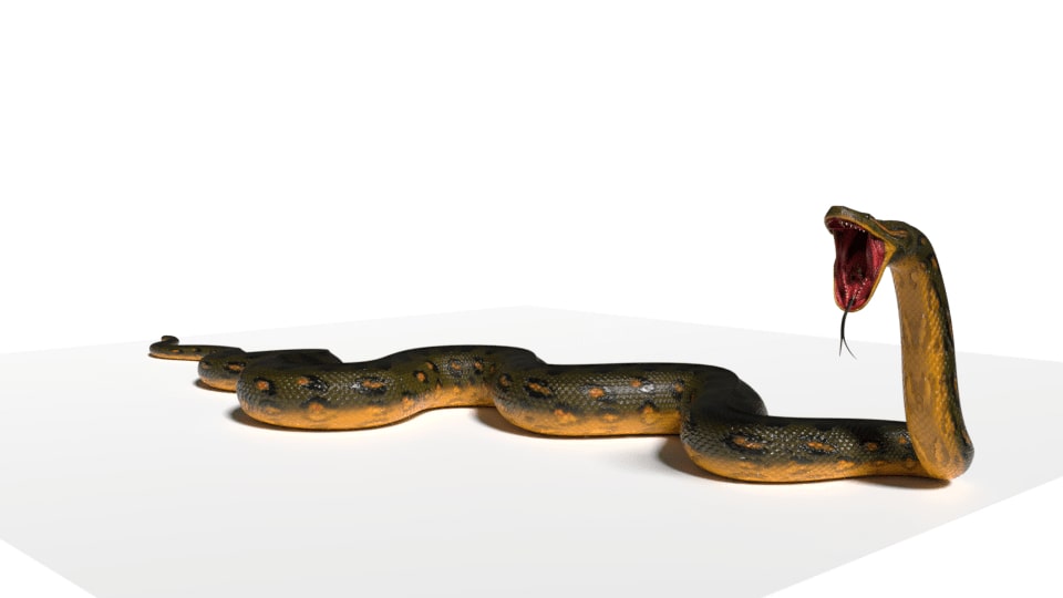 Snake Python 3d Model