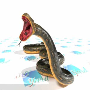 Anaconda 3d model