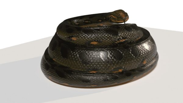 Anaconda 3d model