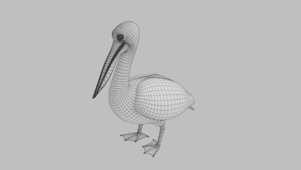 Bird collection 3d model