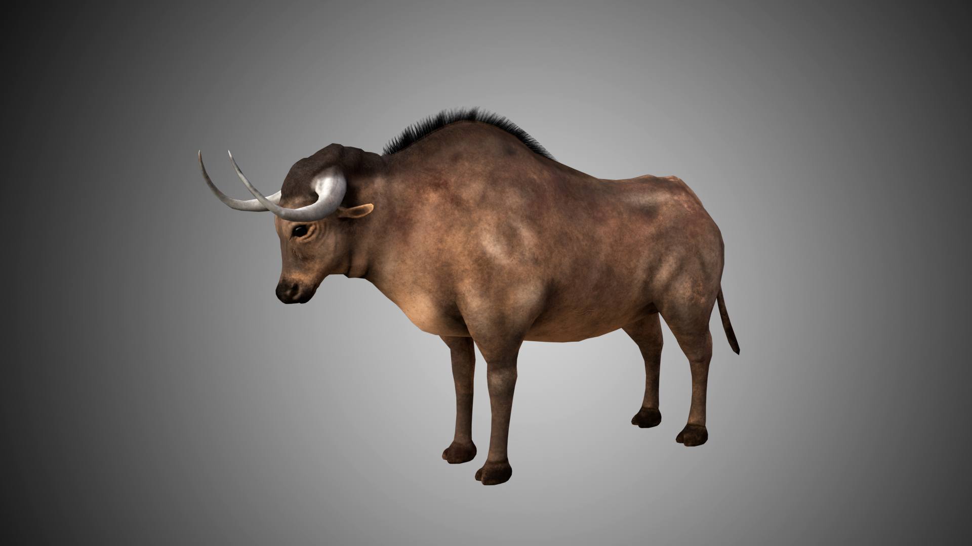 Bull 3D Model Rigged and Low Poly Game ready - Team 3d Yard