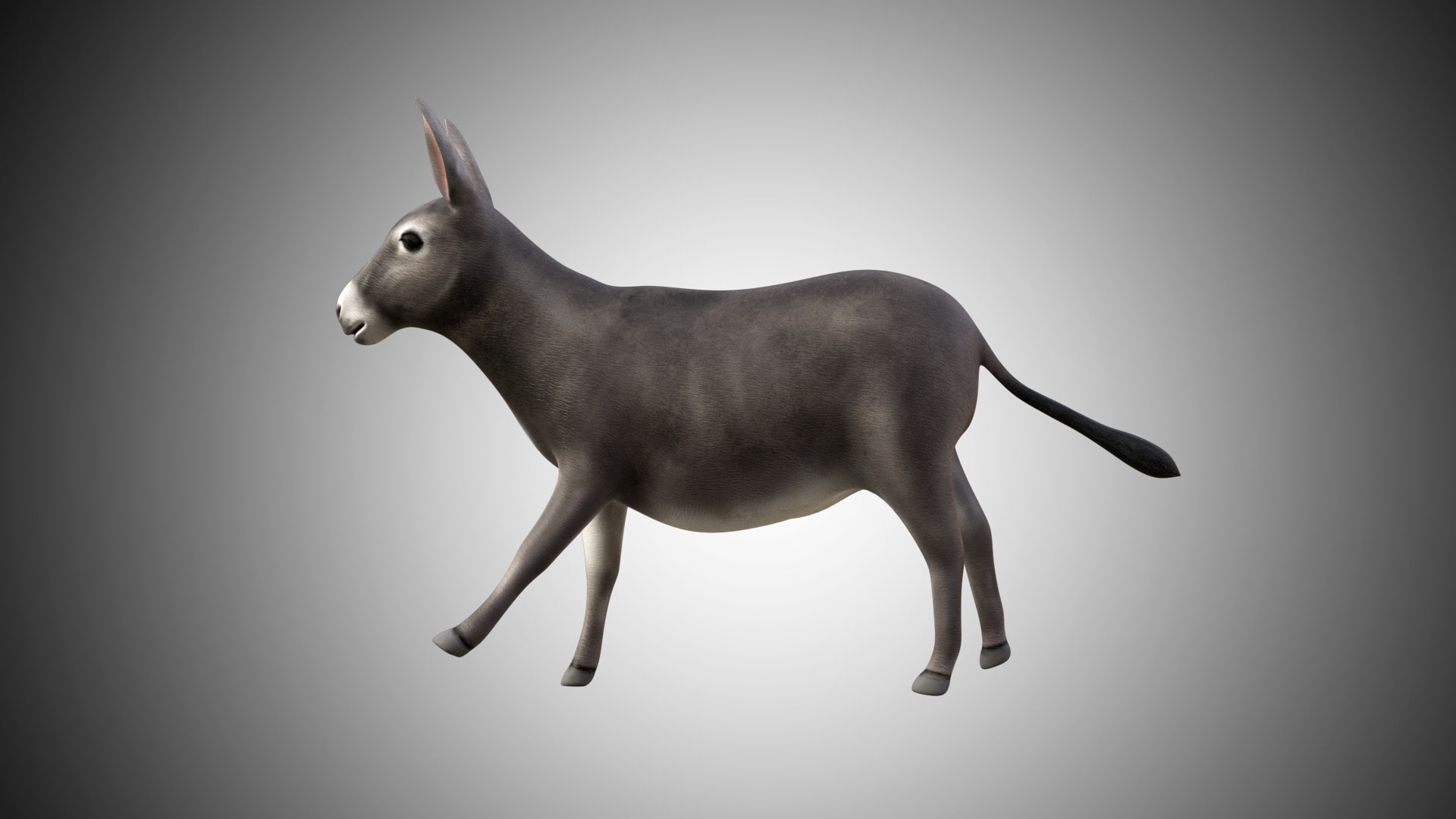 Donkey 3D Model Rigged and Low Poly Game ready - Team 3d Yard