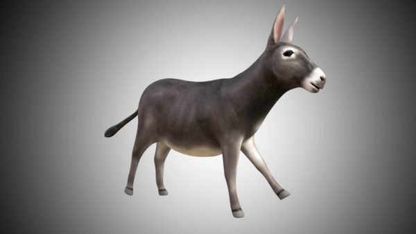 Donkey 3d model
