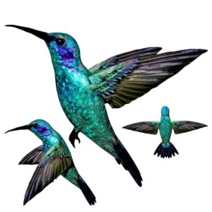 Hummingbird 3d model