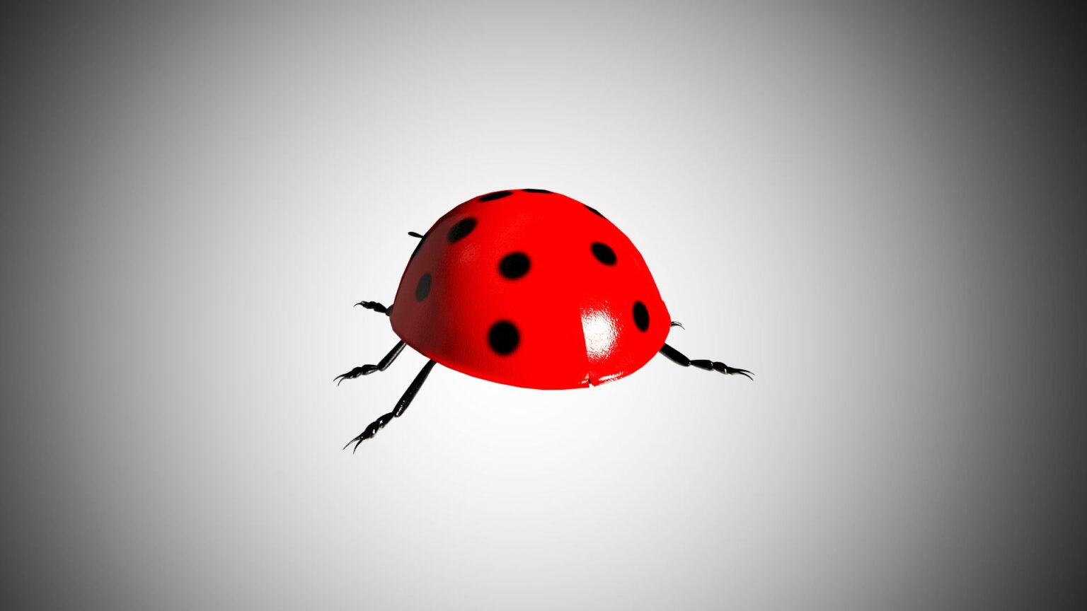 Ladybug 3d Model Rigged And Low Poly Game Ready Team 3d Yard