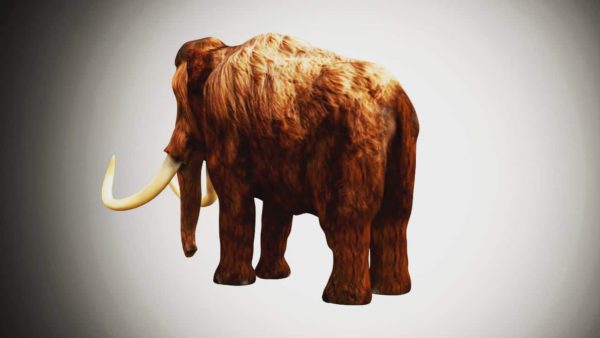 Mammoth 3d model