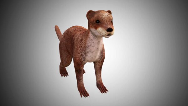 otter 3d model low poly