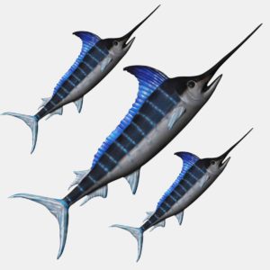 Swordfish 3d model