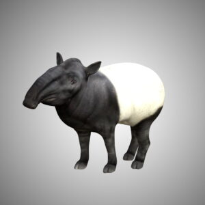 Tapir 3d model