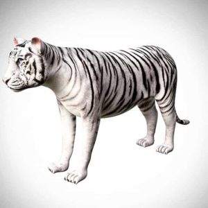 White tiger 3d model
