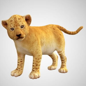 Baby lion cub 3d model