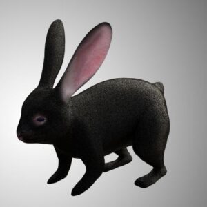 Black Rabbit 3d mode