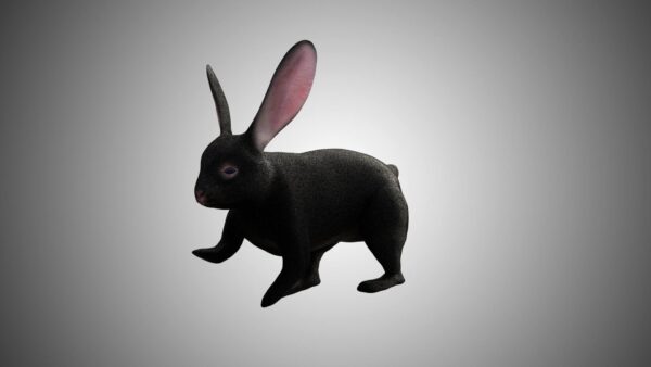 Black Rabbit 3d model