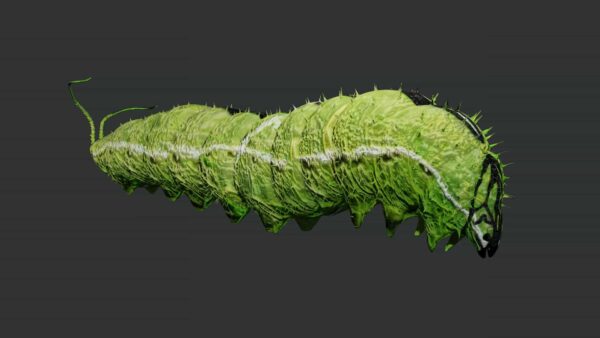 caterpillar 3d model