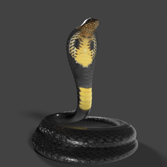 King Cobra 3D Model Rigged and Low Poly Game ready - Team 3d Yard