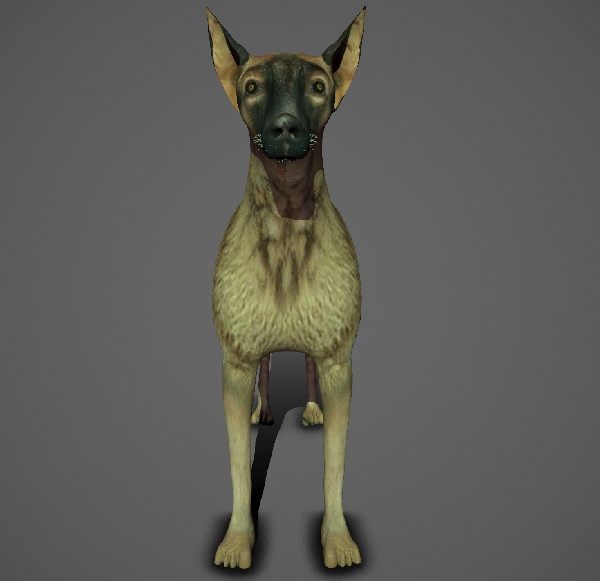 Greyhound dog 3d model