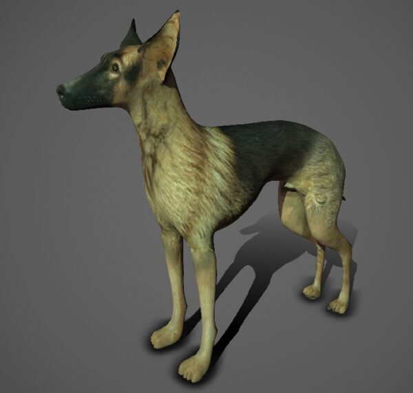 Greyhound dog 3d model