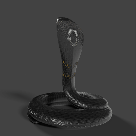 3D model Indian Cobra Naja Naja VR / AR / low-poly