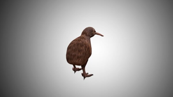 kiwi bird 3d model