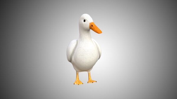 mallard duck 3d model