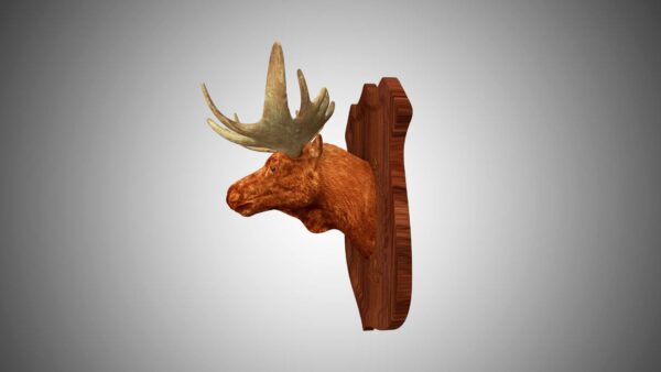Moose head trophy 3d model