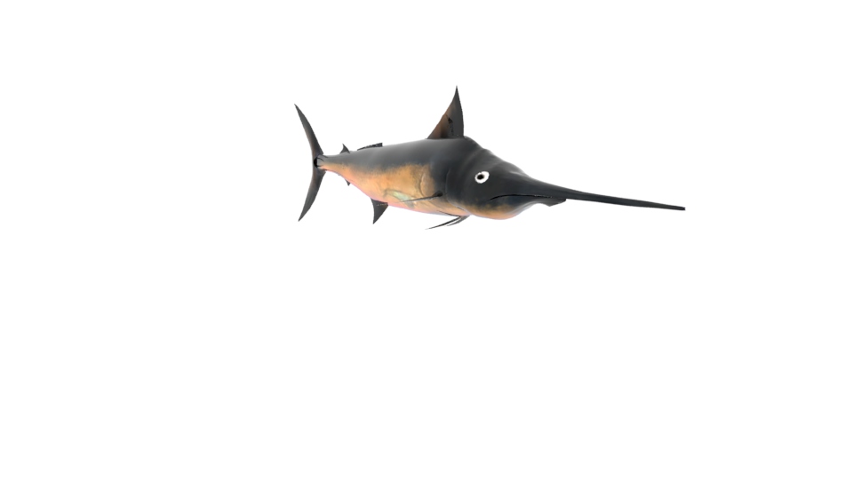 Swordfish 3D Model Low Poly Game ready - Team 3d Yard