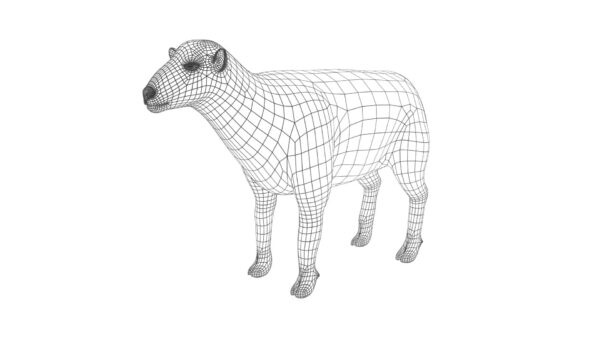 wool sheep 3d model