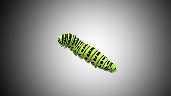 Caterpillar 3d model