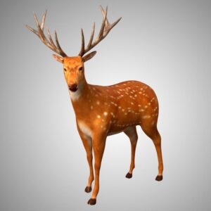 Deer 3d model