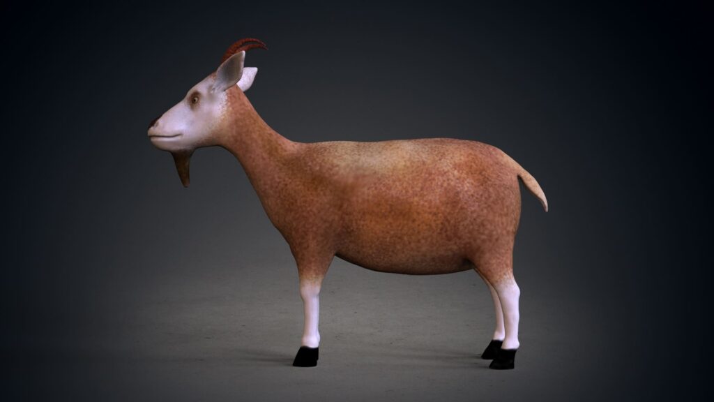 Goat 3D Model Rigged And Low Poly Game Ready - Team 3d Yard