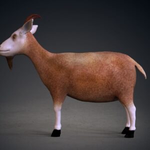 Goat 3d model
