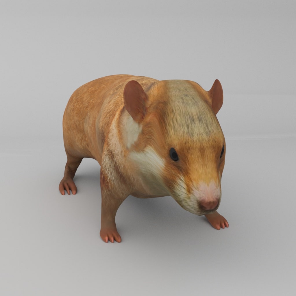 Hamster Life Bundle  3d Models for Daz Studio and Poser