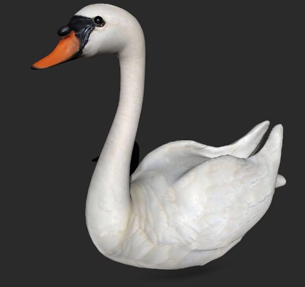 Swan bird collection 3d model