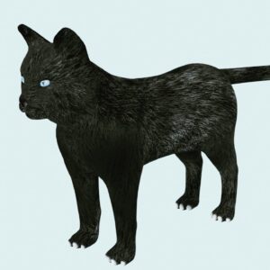 black cat 3d model