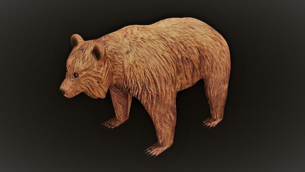 brown bear 3d model