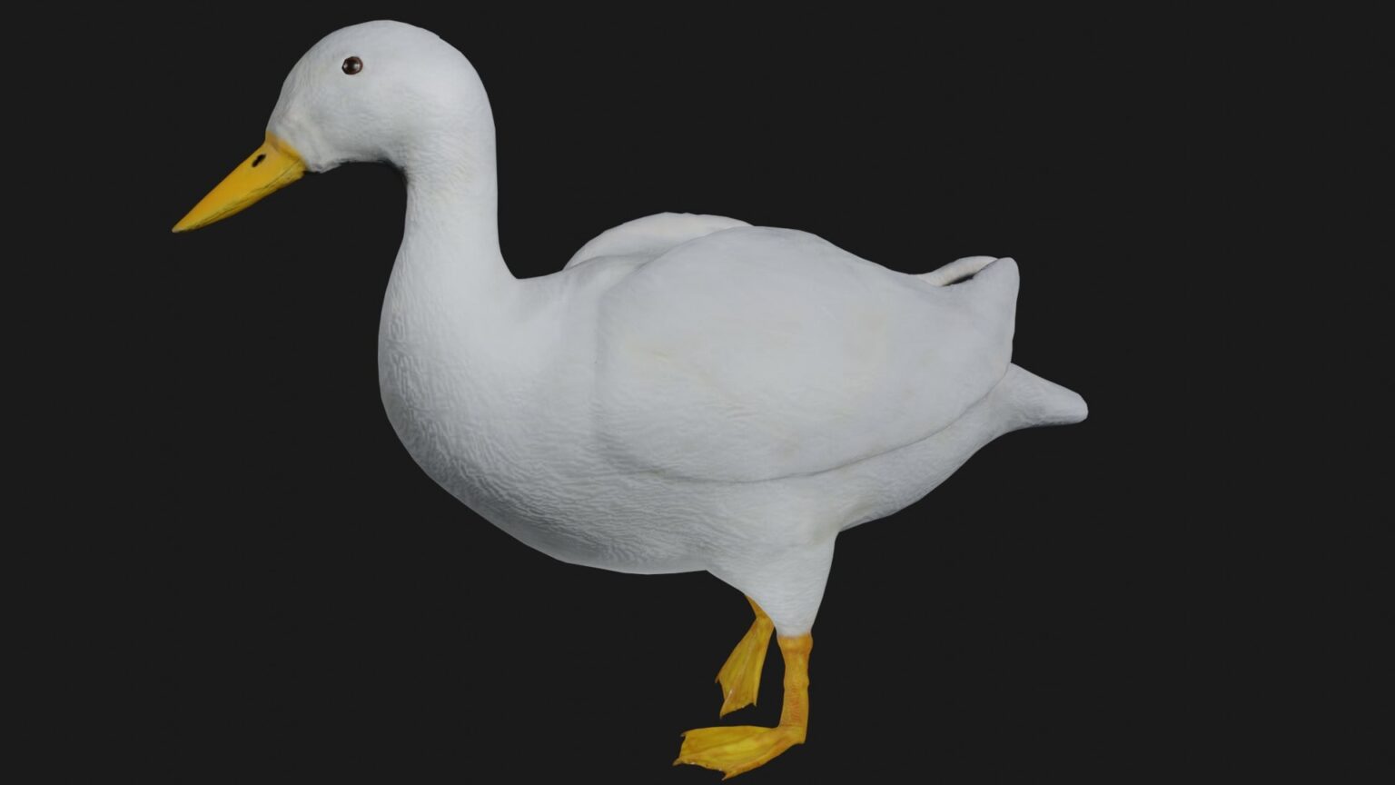 Duck 3D Model Rigged and Low Poly Game ready