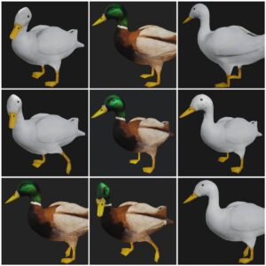 duck collection 3d model