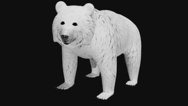 polar bear 3d model