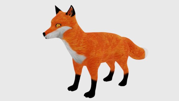 red fox 3d model