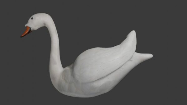 swan duck bird collection 3d model