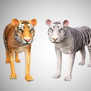 tiger collection 3d model