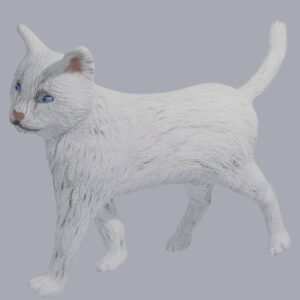 white cat 3d model
