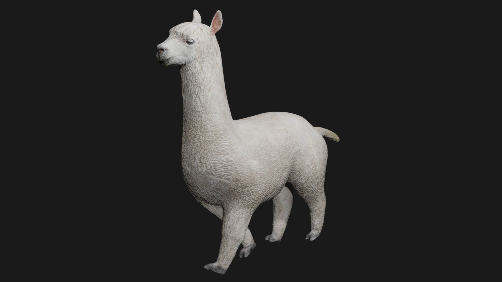 Alpaka Kühlschrankmagnet Lama Alpaca 3D Optik 