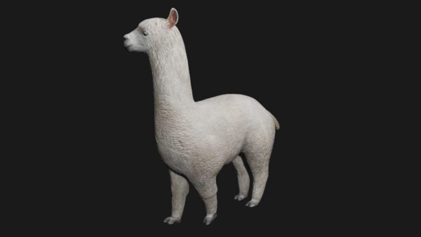 Alpaca 3d model