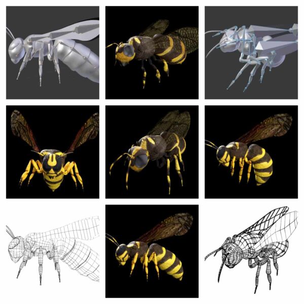 honeybee-wasp 3d model