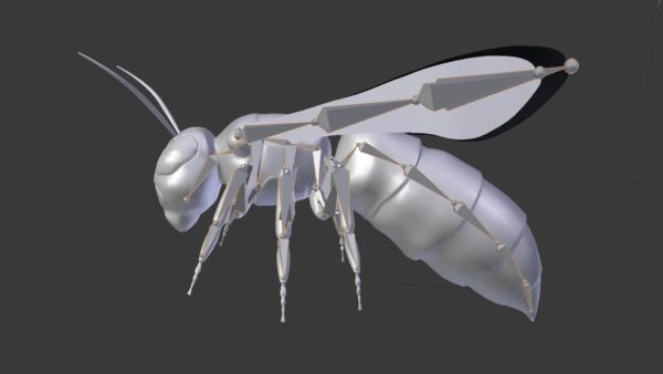 Wasp 3d model