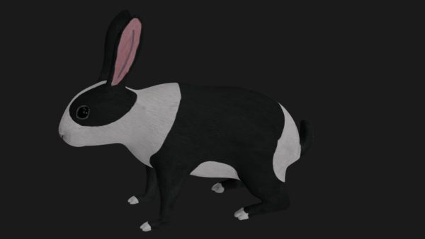 Black and white spotted rabbit 3d model