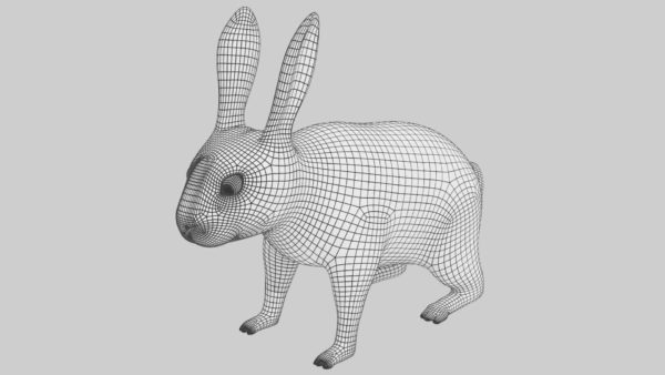 Black and white spotted rabbit 3d model