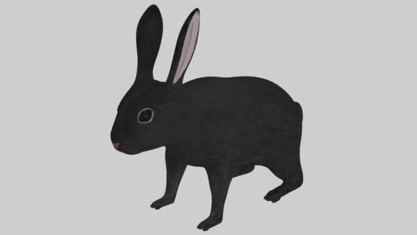 Black rabbit 3d model